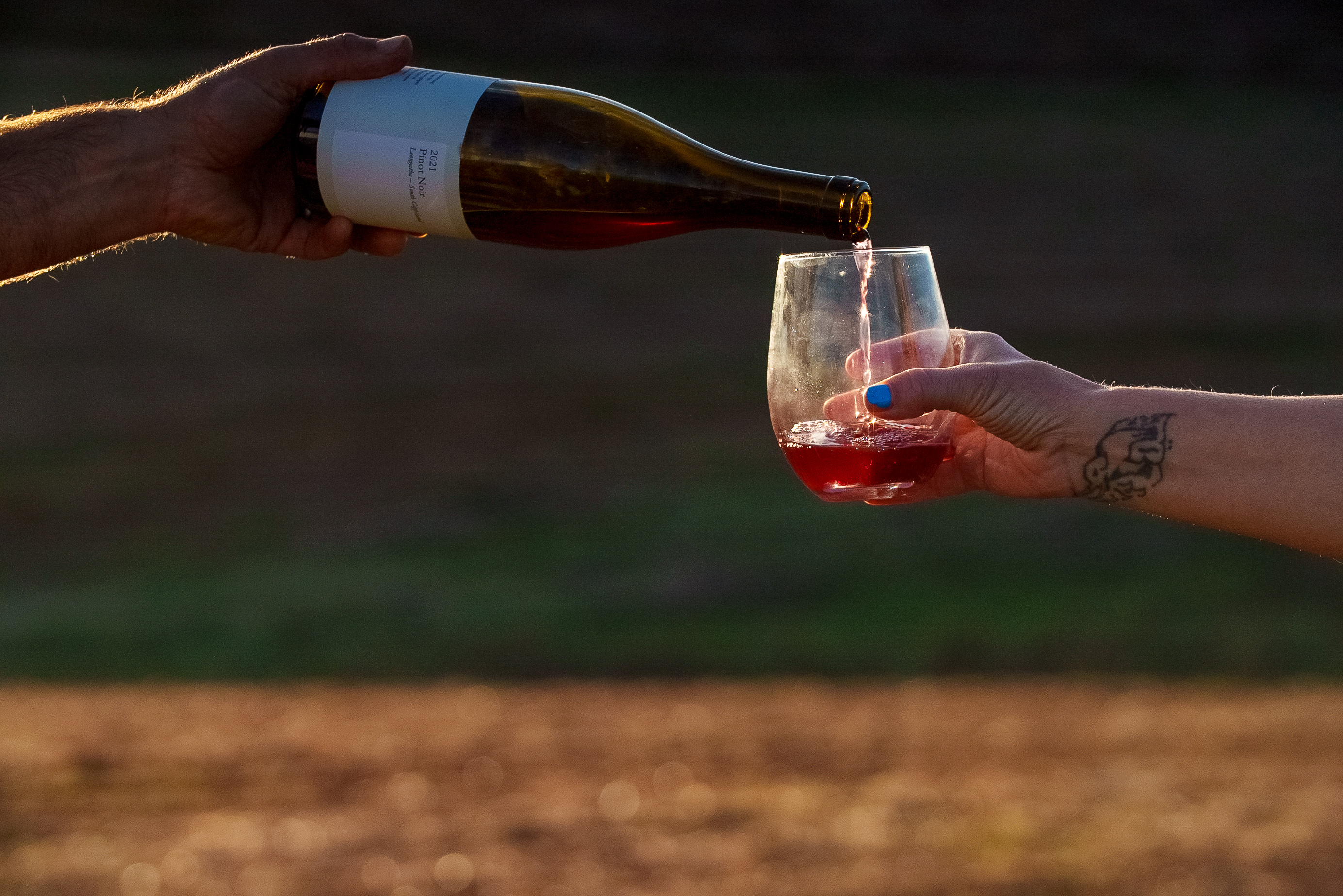 A man pouring wine into a wineglass in the vineyard 